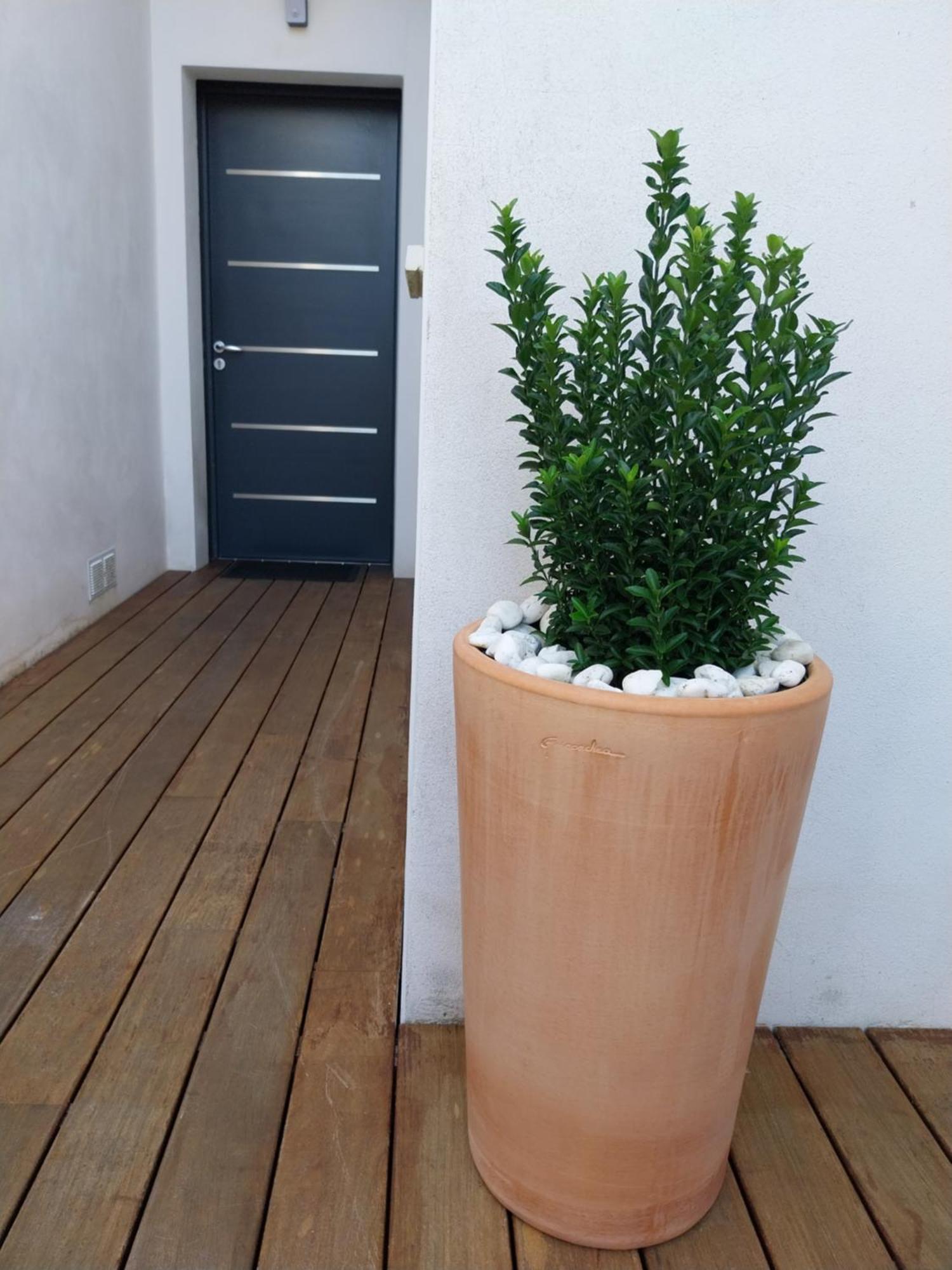 Studio Cocon Enea Bidart, Terrasse Et Parking Luaran gambar